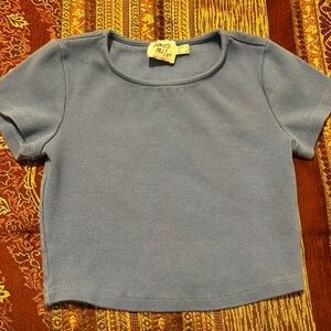 Princess Polly Sky Blue Crop Top size 2 Y2K